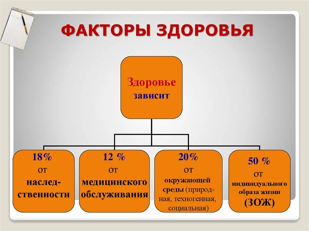 От каких факторов зависит состояние здоровья. Факторы здоровья. Факторы здоровья человека. Составные факторы здоровья. Перечислите факторы здоровья.