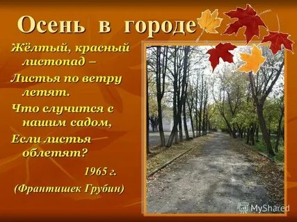 Текст песни в городе осень без сна