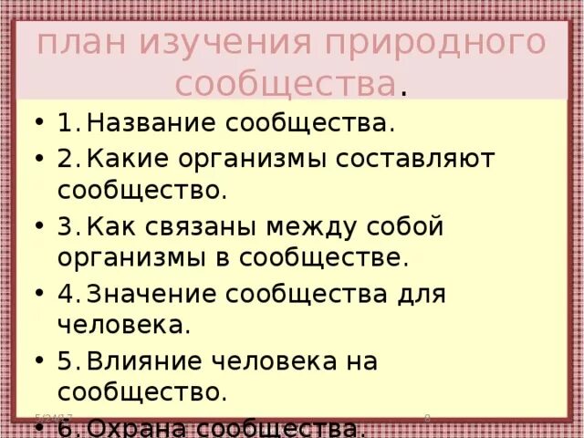 План изучения природного сообщества луг. План изучения природного сообщества Луга. План характеристики природного сообщества. План изучения природного сообщества 4 класс луг. Рассказ о природном сообществе по плану