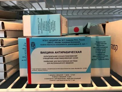 Антирабическая помощь
