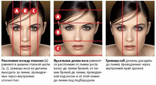 Какой должен быть лоб. Пропорции лица. Золотое сечение лица в макияже. Женское лицо по Золотому сечению. Симметричные черты лица.