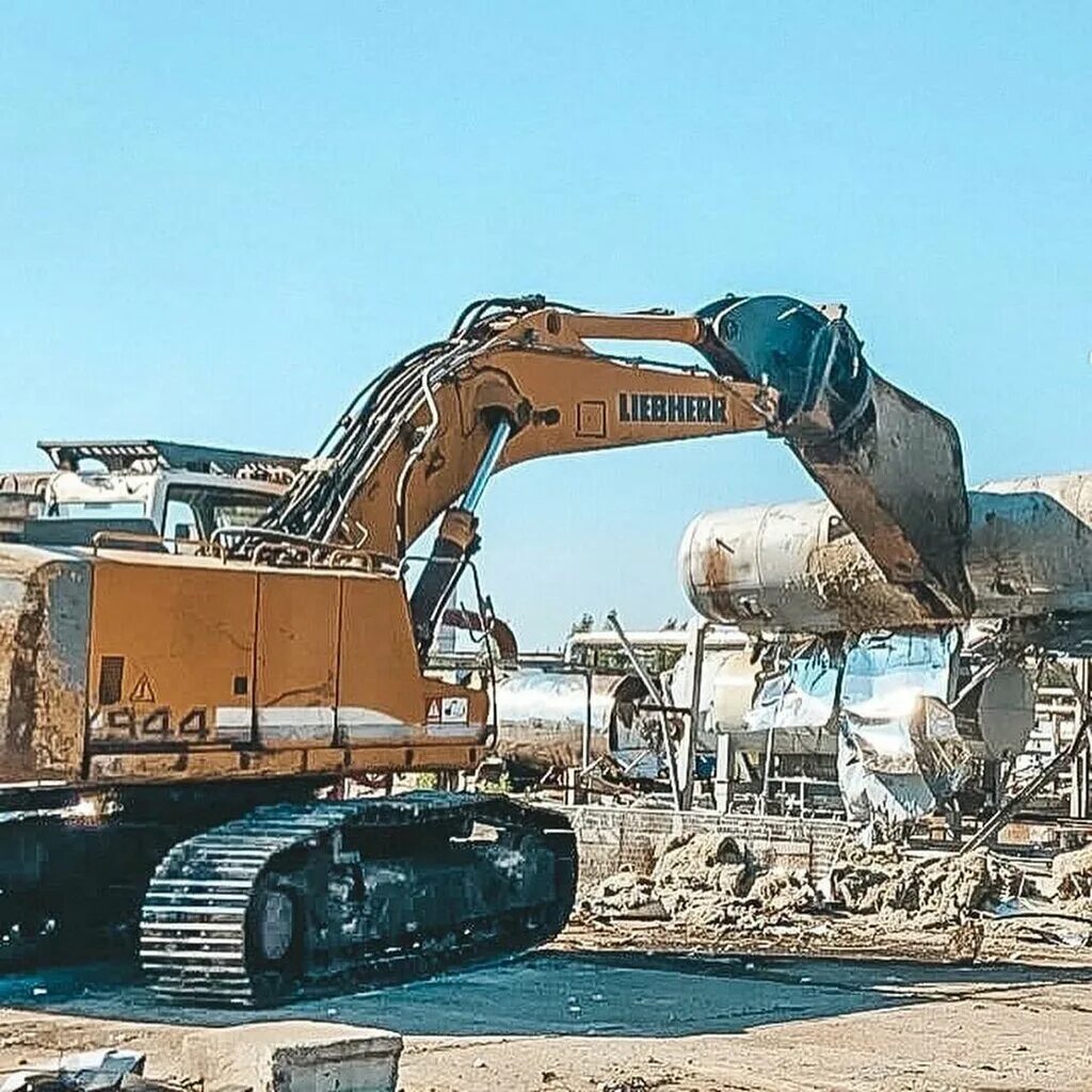 Agro export group llc. Эксперт логотип. Export group. Export group. Agro export group llc logo.