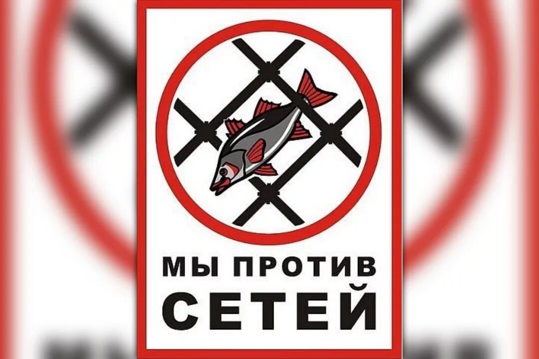 День без сетей. Мы против сетей. знак против браконьерства. плакат против браконьерства. всероссийский день без сетей.