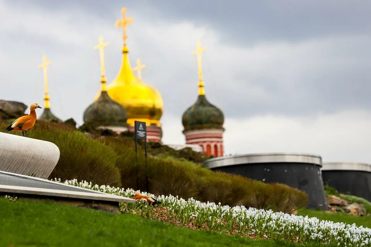 Аттракционы в парке зарядье. Парк Зарядье весной. Цветы в Зарядье 2022. Парк Зарядье цветы. Парк Зарядье цветы 2022.