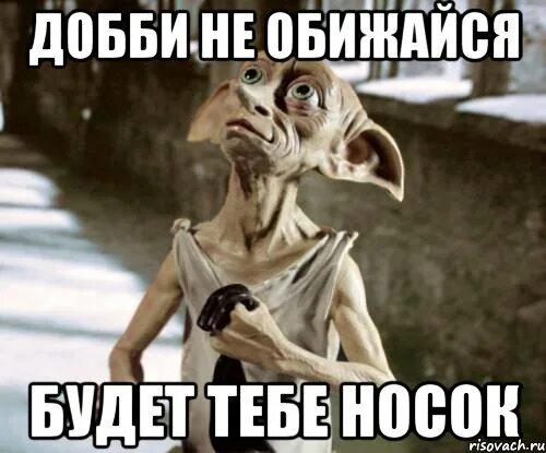 Добби подарили носок. Добби. добби хозяин. добби с носком. добби свободен.