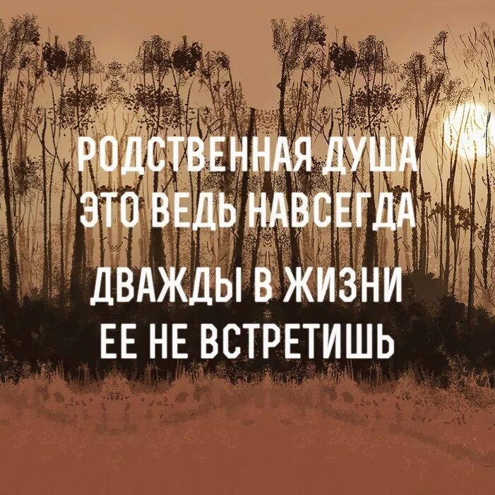 Друг это ведь навсегда. Родственные души цитаты. афоризмы про родственные души. родственная душа это навсегда. высказывания про родную душу.