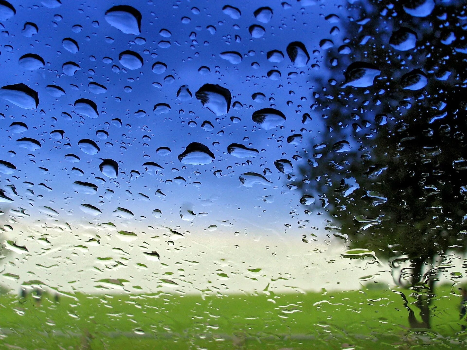 Живые обои капли. Капли дождя. Капли на стекле. Дождь фон. Обои дождь.