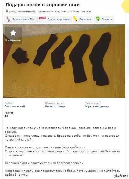 Закон про носки. Цитаты про носки с юмором. Носки смешные фразы. Смешные истории про носки. Белые носки прикол.