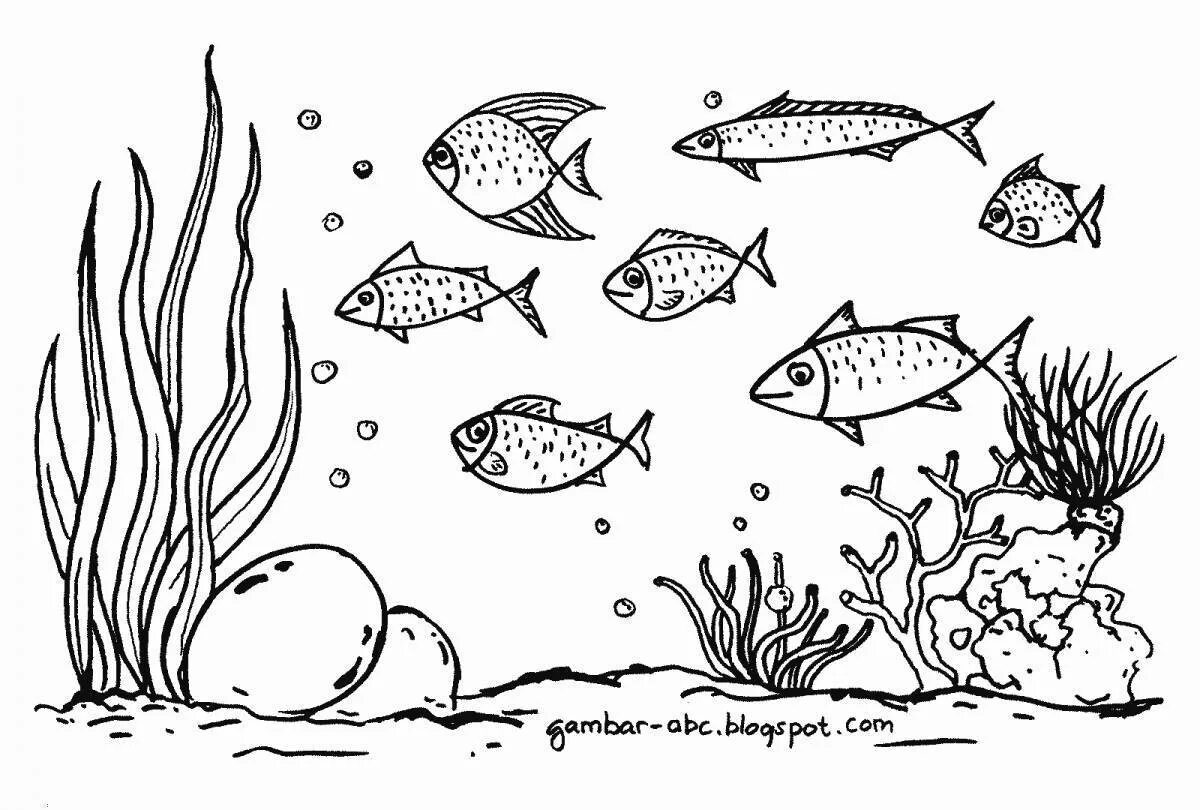 Раскраска аквариум с рыбками. Раскраска рыбы в аквариуме. Раскраска аквариум с рыбками для детей. Рыба раскраска.