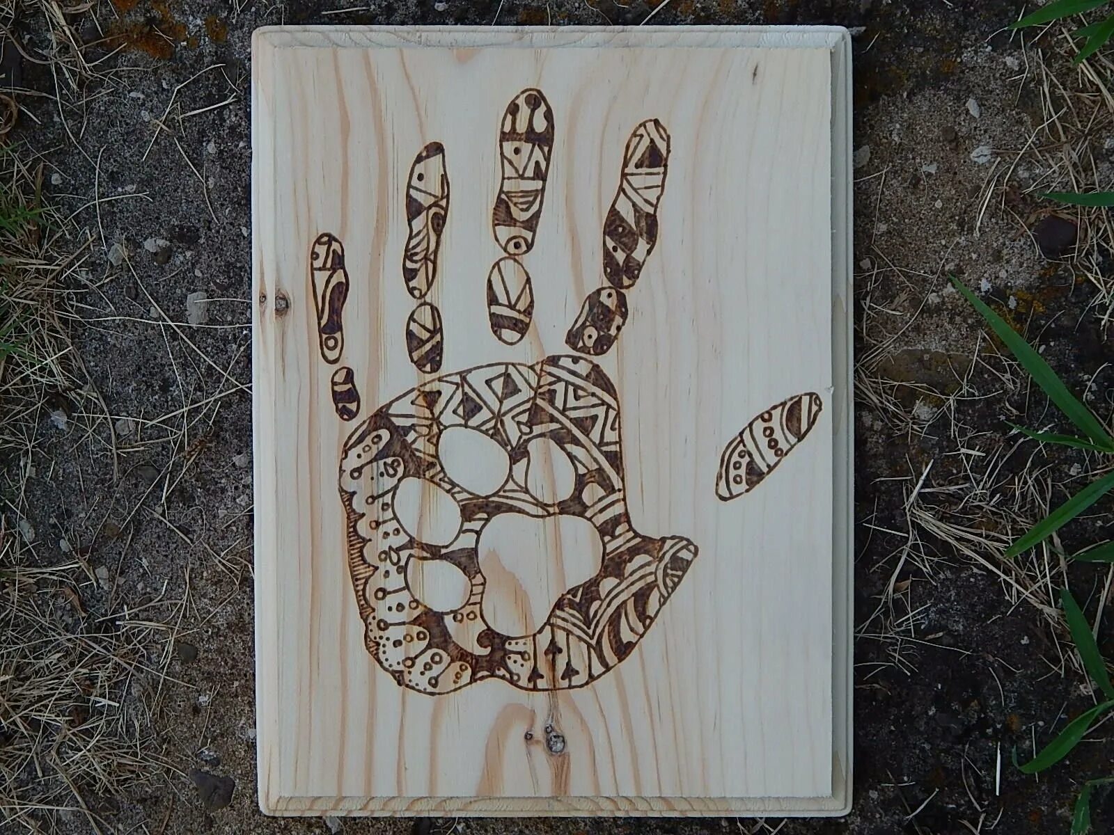 Выжигание по дереву. Выжигание на дереве. Объемное дерево рисунок. Сосна выжиган е по дереву. Выжженное дерево.