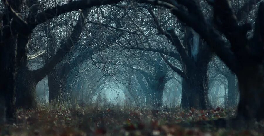 гремучая лощина корсакова. волшебное дерево концепт арт. мрачные леса (2019) фильм. сонная лощина 2002. гремучая лощина корсакова.