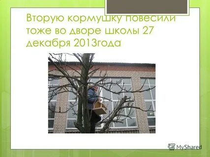 Повешены или повешаны как писать