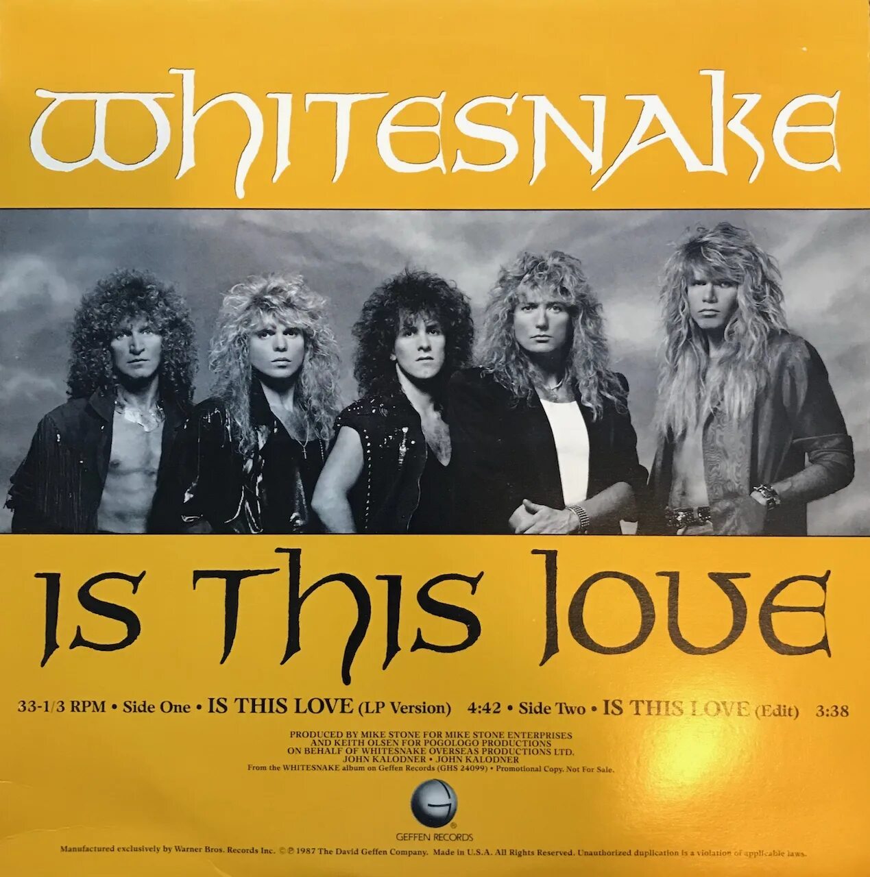 Whitesnake Whitesnake 1987 обложка. Группа Whitesnake 1987. Whitesnake 1987 фото. Whitesnake is this Love альбом. This love mp3