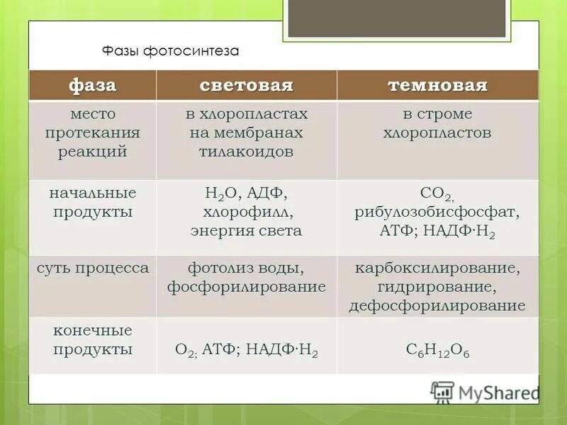 Результатом световой фазы является. Продукты реакции световой фазы и Темновой фазы фотосинтеза. Световая и темновая фаза фотосинтеза. Фотосинтез световая фаза и темновая фаза таблица. Фазы фотосинтеза световая и темновая таблица.