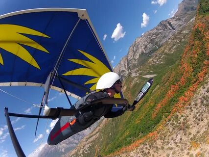 Go fly s