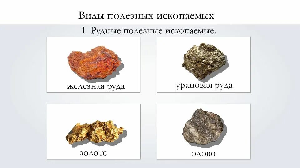 Какими видами ископаемых богата евразия. Рудные полезные ископаемые. Рудняк полезные ископаемые. Металлические руды полезные ископаемые. Полезные ископаемые железная руда.