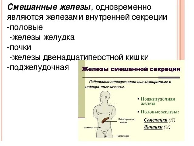 Железы со смешанным типом секреции. Железы смешанной секреции Тип желез. Яичники железы смешанной секреции. Семенная железа секреция. Какие железы являются смешанной секреции