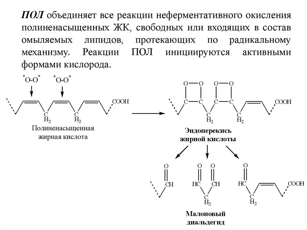 Пол липидов. Пероксидное окисление липидов биохимия. Пероксидное окисление липидов (пол). Малоновый диальдегид перекисное окисление липидов. Схема реакций перекисного окисления липидов.