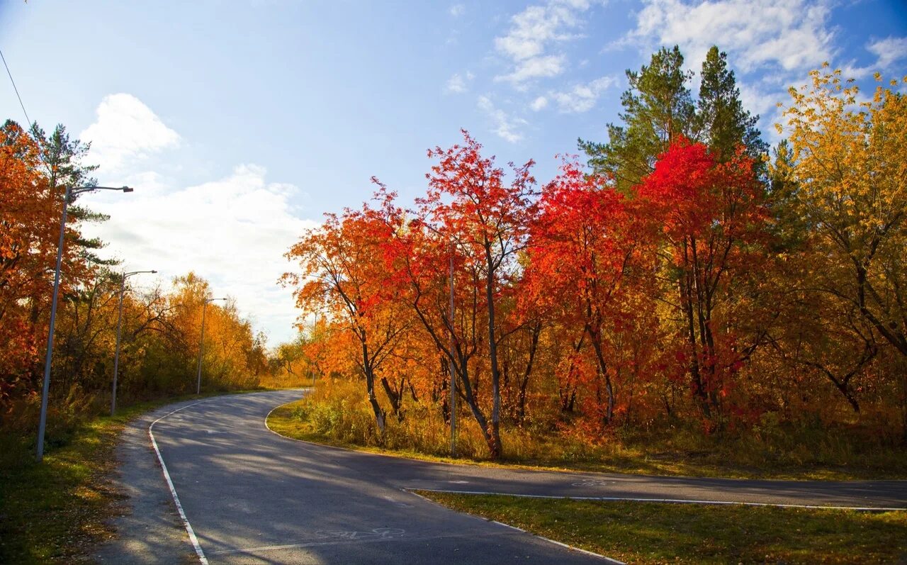 Приходит октябрь. С октябрем приходит Золотая осень. Копейск осень. Осенние пейзажи 2021. Пейзаж осени одним цветом.