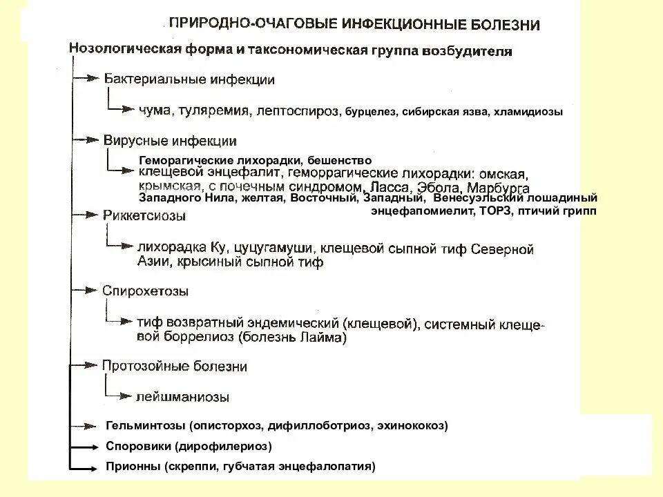 Трансмиссивные очаговые заболевания. Природно-очаговые болезни. Классификация природно-очаговых заболеваний. Природно-очаговые инфекции. Природно-очаговые инфекции презентация.