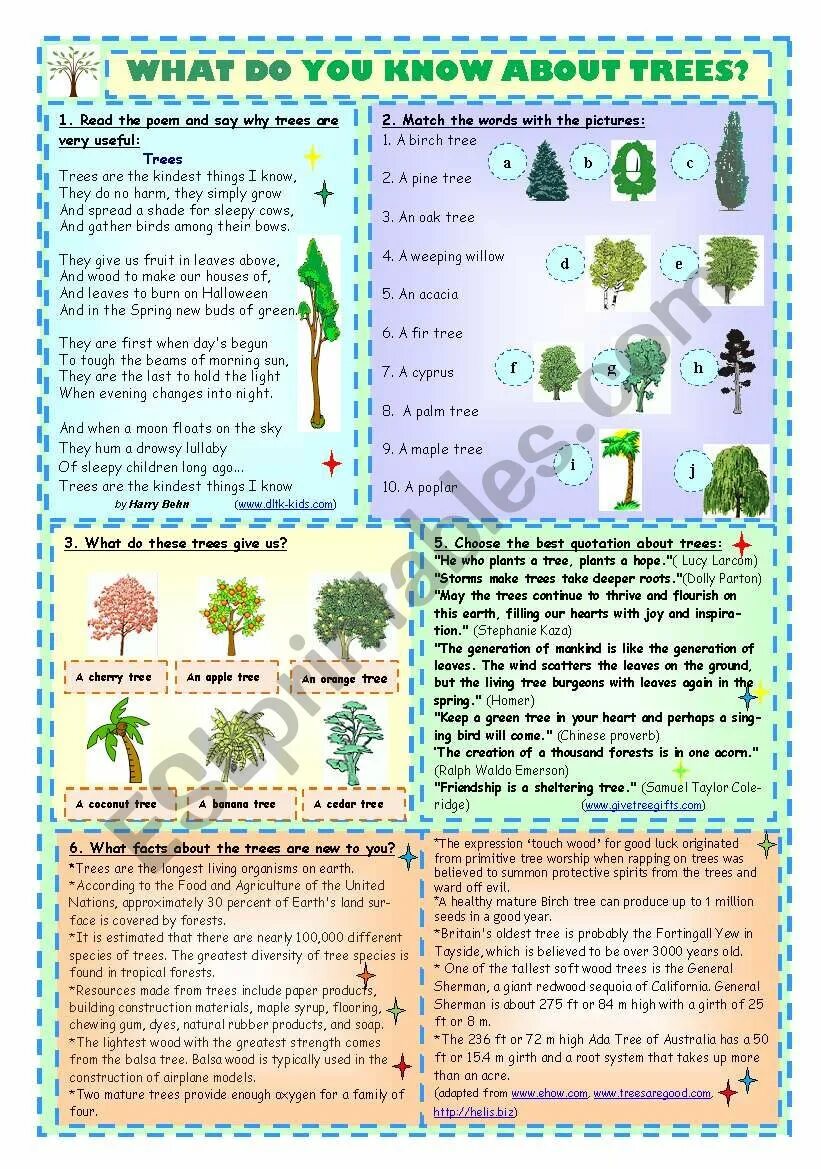 This is tree tree is green. Упражнения по теме environment. saving the planet worksheet. environment worksheets reading. топики на английском tree.