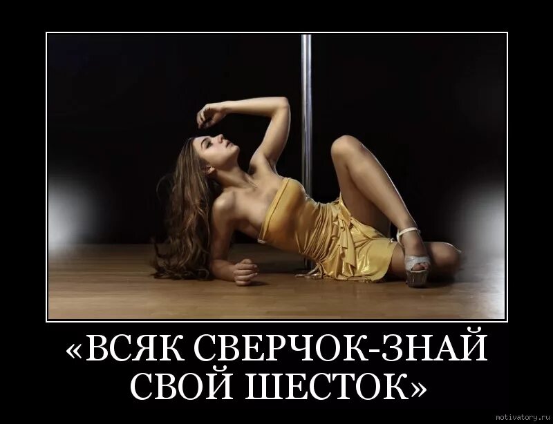 Поговорка знай свой шесток. Знай сверчок свой шесток. знай свой шесток. каждый сверчок знает свой шесток. пословица каждый сверчок знай свой шесток.