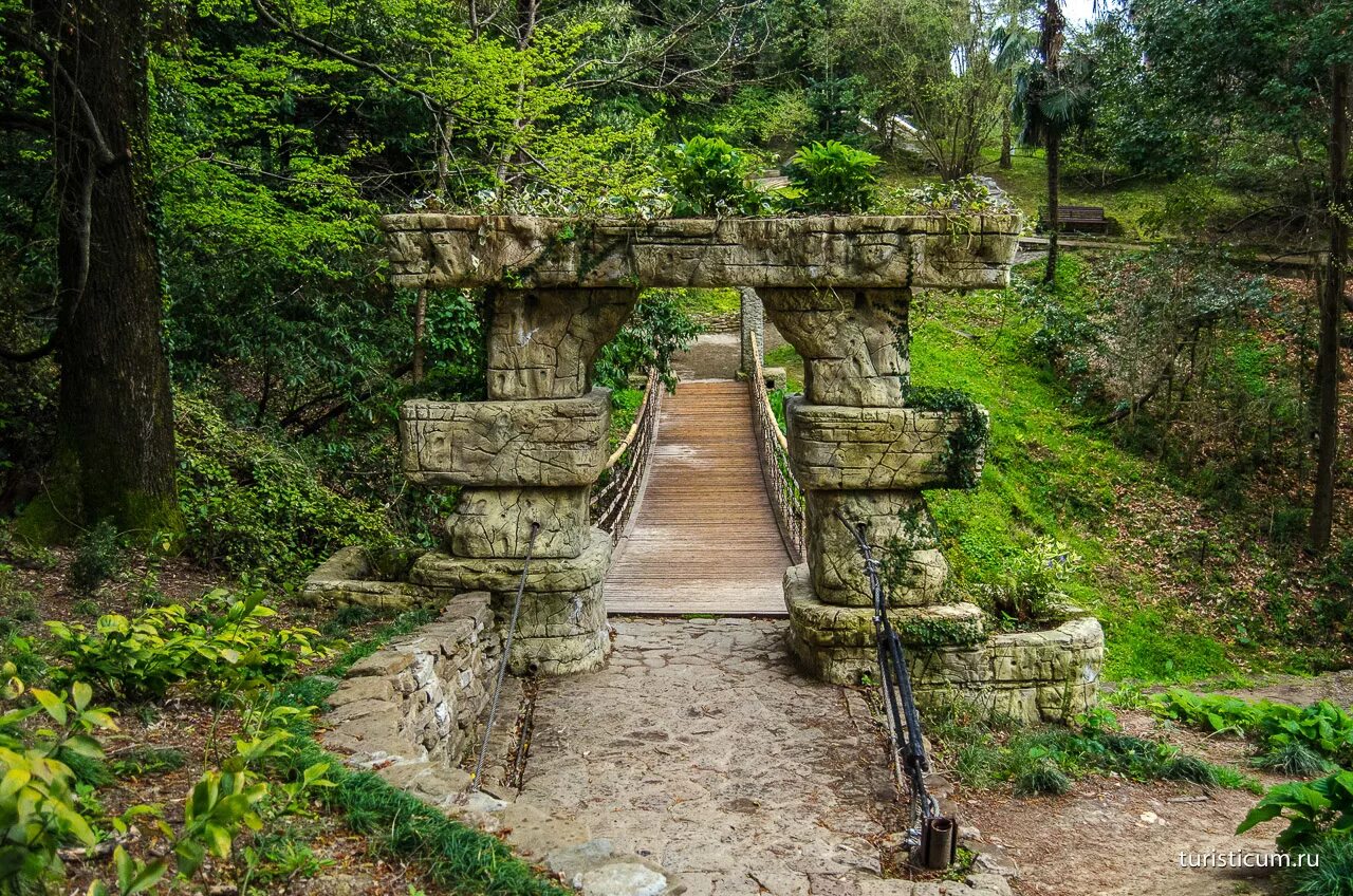 Нижний парк Дендрария в Сочи. Фото