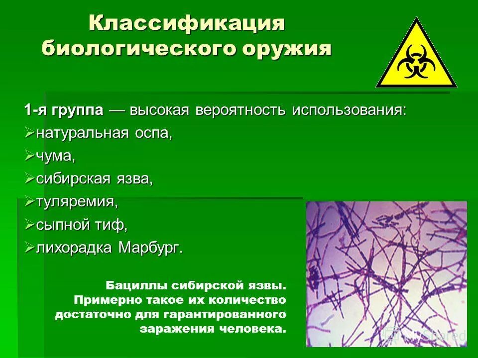 Основа биологического оружия. Классификация бактериологического биологического оружия. Основные характеристики биологического оружия. Бактериальное оружие классификация. Классификация поражающих факторов биологического оружия.