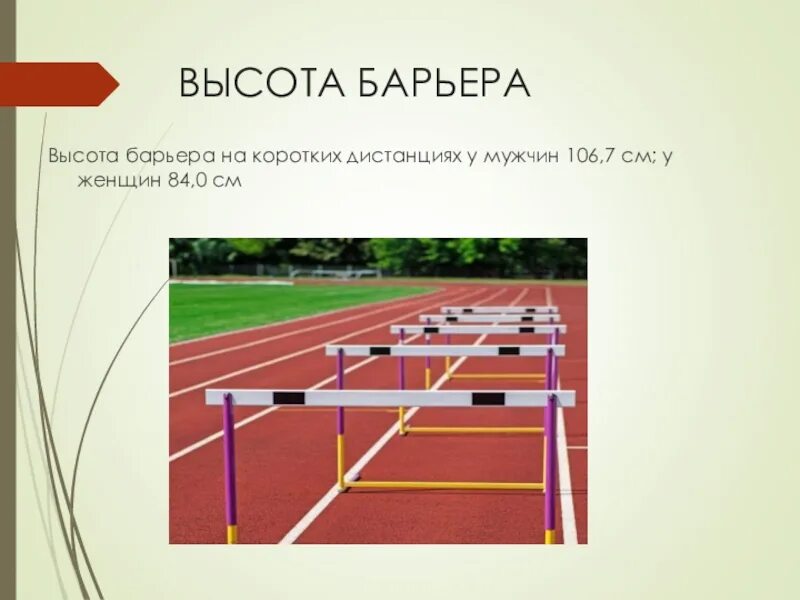 Барьерный бег в легкой. Стадион для бега с препятствиями. Бег 3000 м. Высота барьера легкоатлетического. Высота барьера в легкой атлетике.