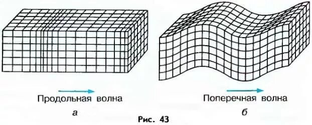 Продольные ультразвуковые волны. Продольные и поперечные волны. Продольные волны. Продольные механические волны. Поперечная волна и продольная волна.