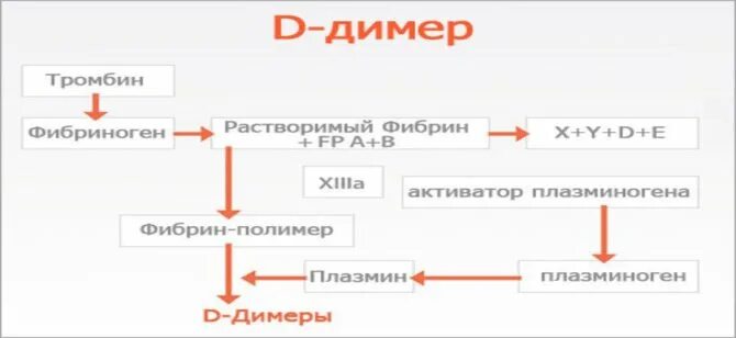 Д димер 0. Показатели анализа д димер. Биохимия крови д димер норма. Д димер схема образования. Кровь на д-димер норма.