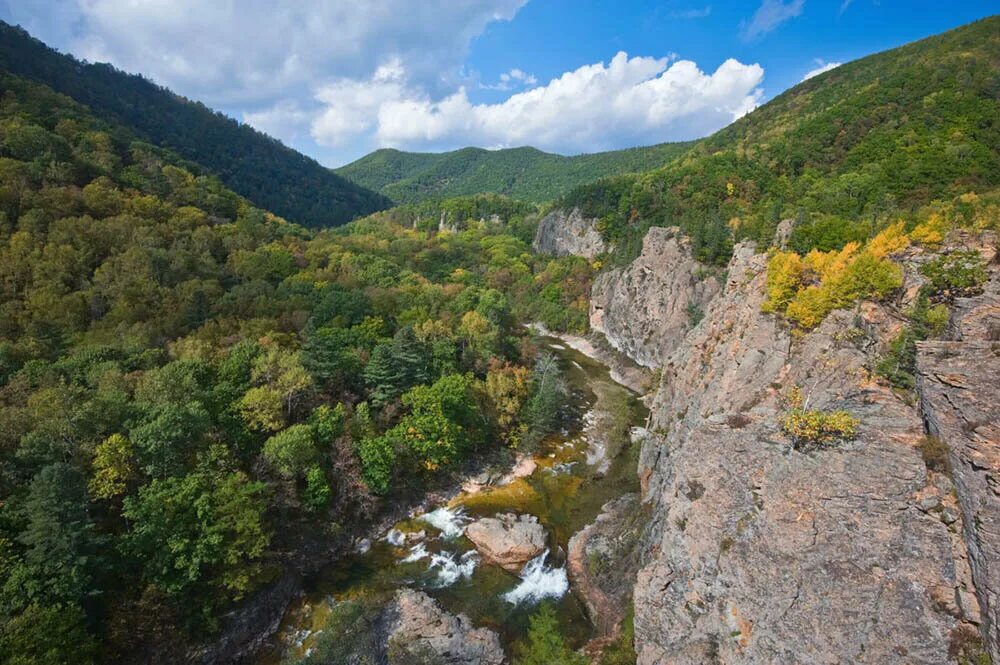 Заказники приморского края