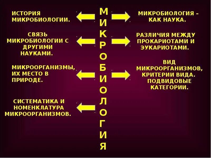 Тест по теме микробиология