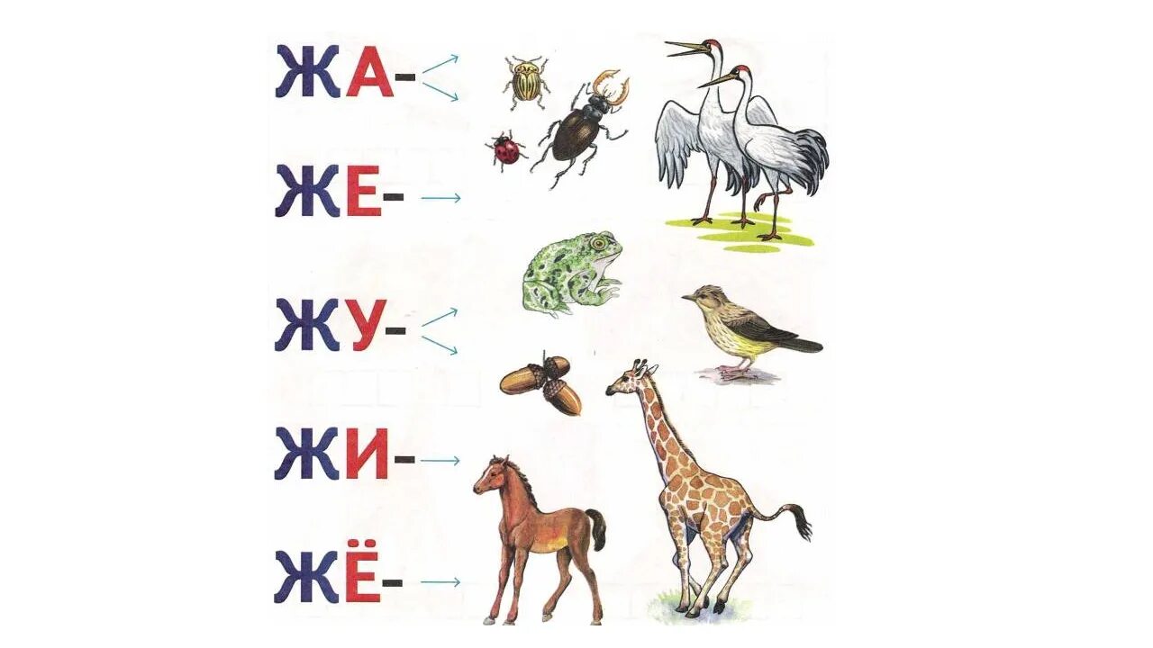 Буква ж задания. Чтение слогов с буквой ж. Звук ж для детей. Буква ж для дошкольников.