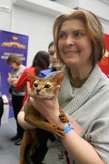 Кот скай