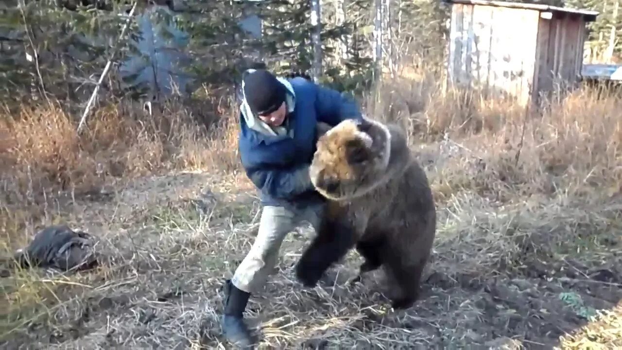 Русский дерется с медведем.