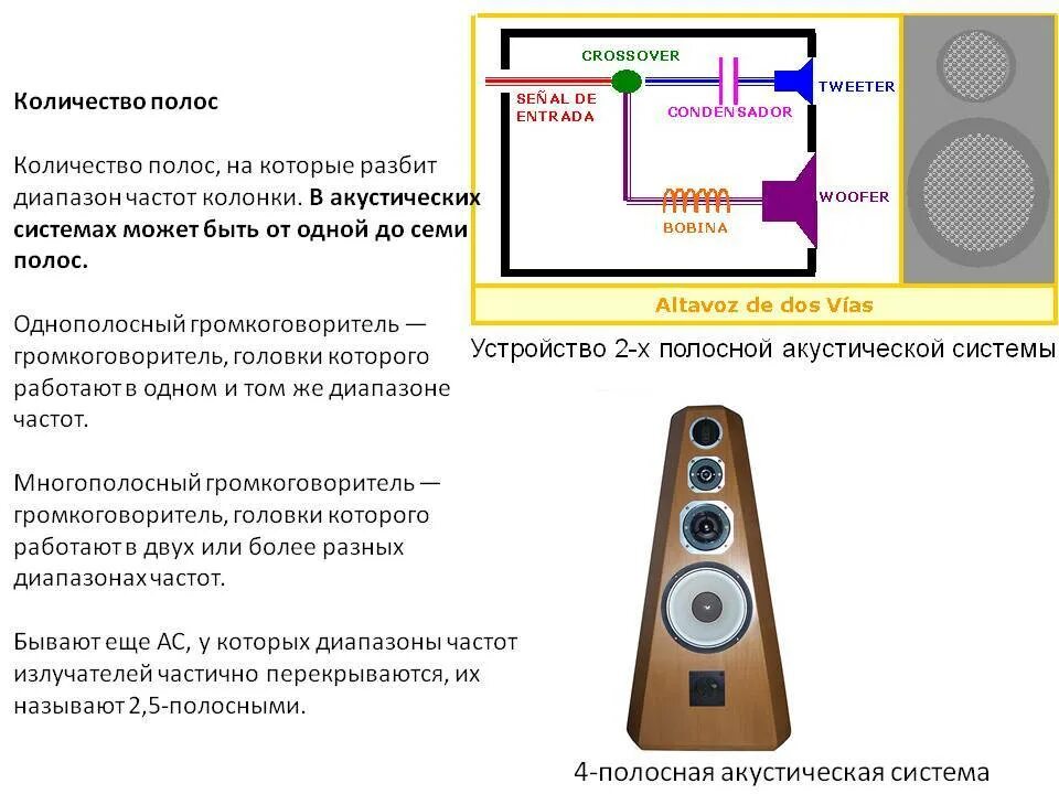 Звук 1 динамика. Однополосная акустическая система схема. Принцип работы акустических колонок. Принцип работы колонок схема. Схема устройства акустического динамика.