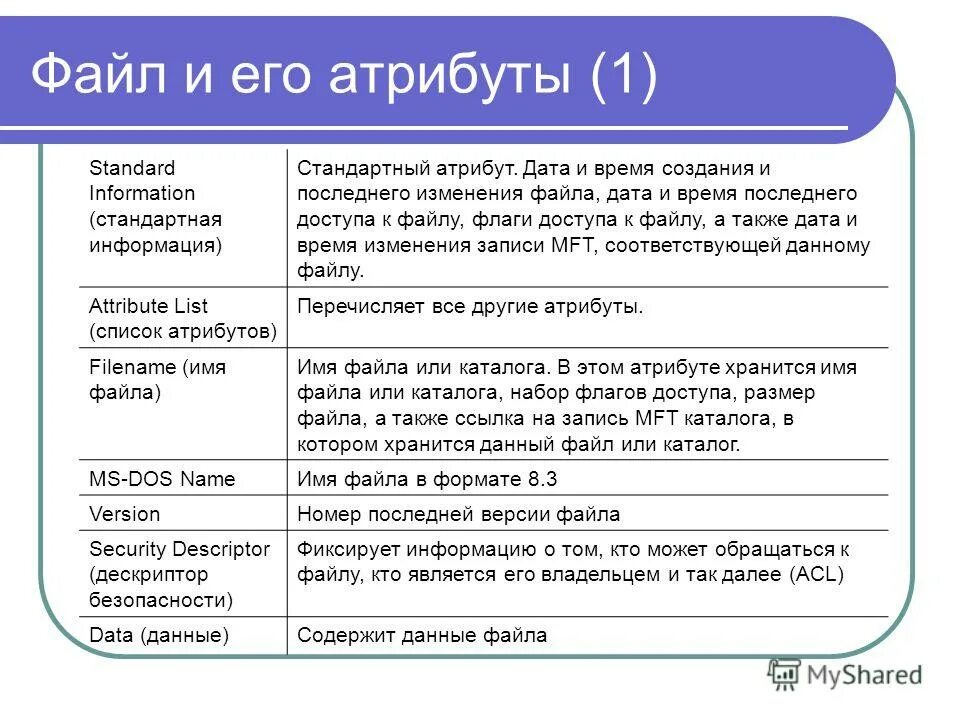 Файл файловая система атрибуты файла. Файл файловая система атрибуты файла