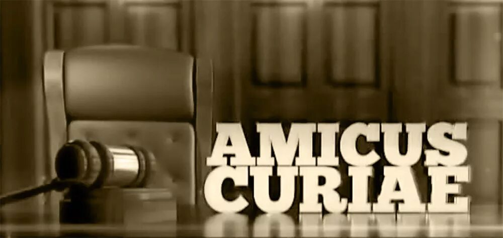 Amicus curiae