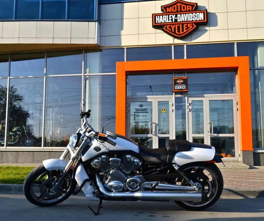 Мотоцикл купить новосибирская. Мотосалон Harley Davidson. , Харлей Харлей Дэвидсон. Харли Дэвидсон мотоцикл. Мотоциклы Харлей Дэвидсон Краснодар.