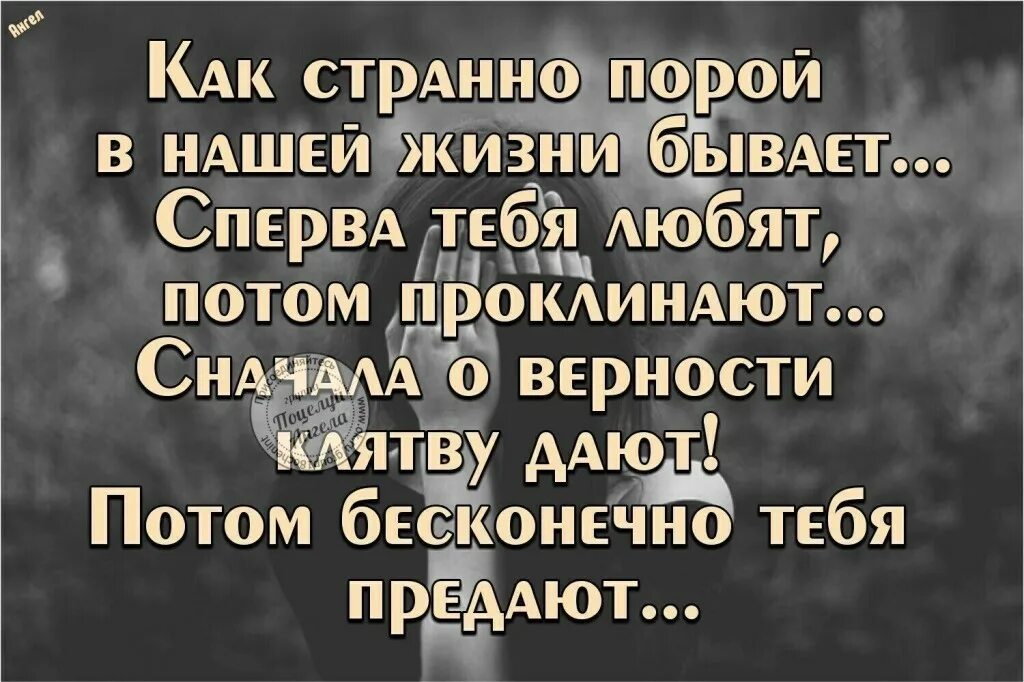 Высказывания про подруг предательниц. Когда тебя предали. Если человек тебя предал. Как поступить с предателем. Локти кусайте землю жуйте но не возвращайтесь туда где.