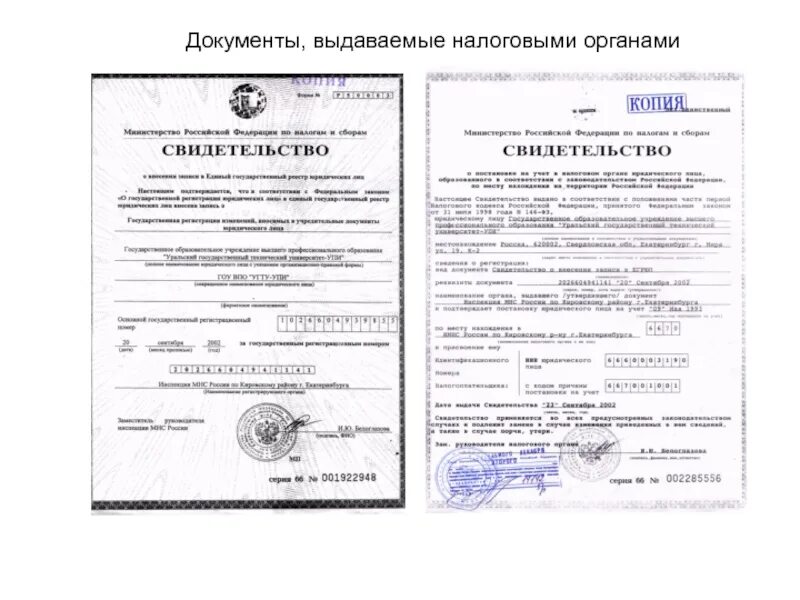 Общий налоговый документ. Документы выдаваемые налоговыми органами. какие органы выдают документы. какие документы выдает налоговая. какие документы выдаются ифнс.