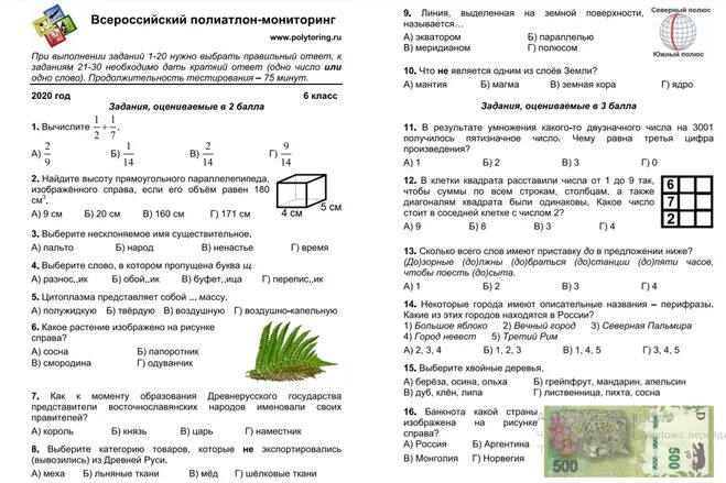 Политоринг 2024 8 класс ответы. Политоринг 1 класс задания. Политоринг 1 класс задания 2021. Политоринг 2 класс задания. Политоринг 1 класс задания 2020.