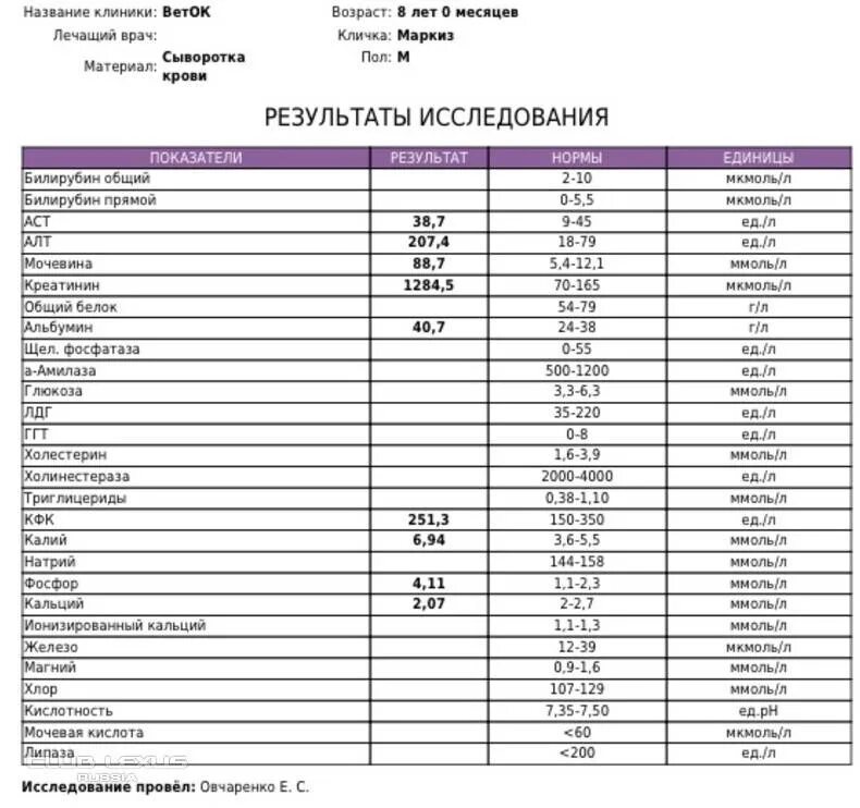 Аст у мужчин после 60. АСТ биохимия крови норма. Биохимия анализ крови показатели АСТ что это. Биохимия крови билирубин общий норма у женщин. Биохимический анализ крови билирубин общий норма.