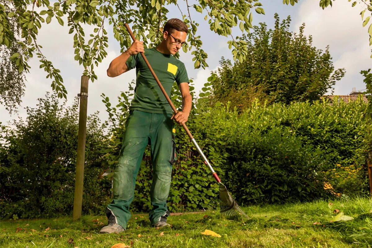 Садовник помощник по хозяйству. Услуги садовника. Groundskeeper Gardener разница. Помощник по хозяйству в загородный дом.