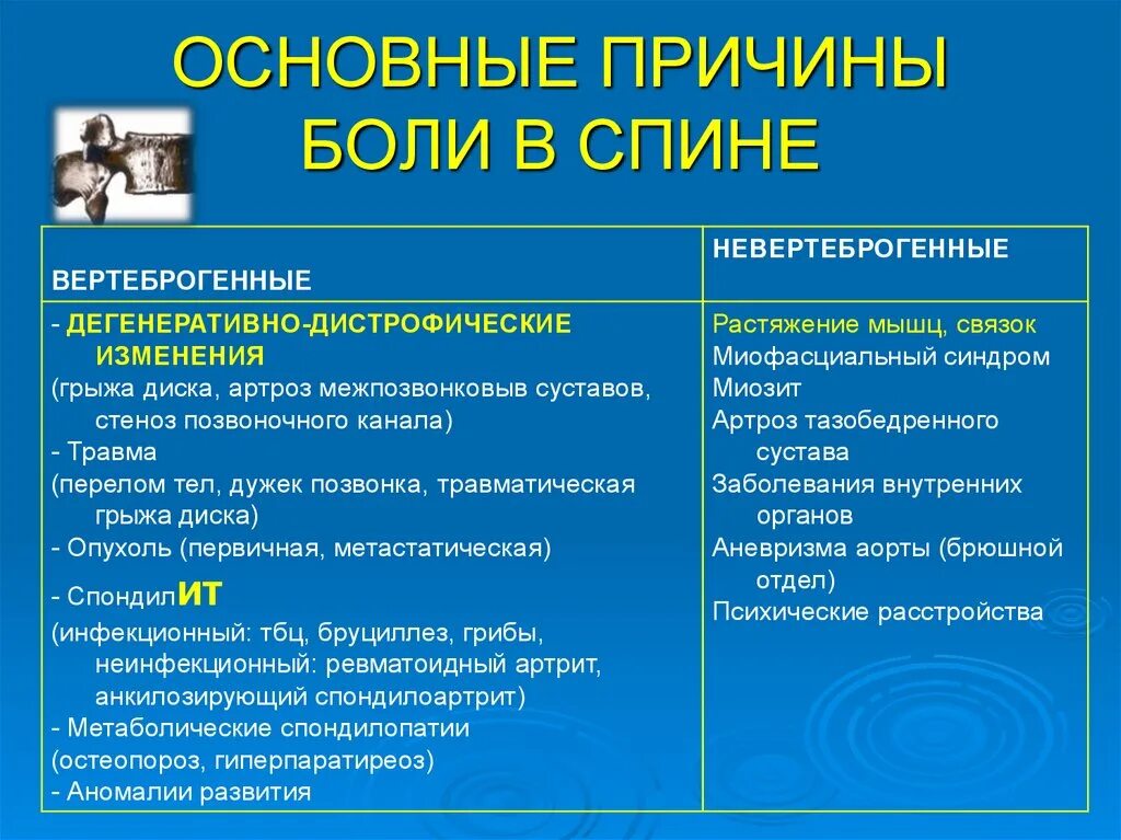 Почему боли полового члена. Боли в спине причины. Причины возникновения болей в спине. Основные причины боли в спине. Факторы, вызывающие боли в спине.