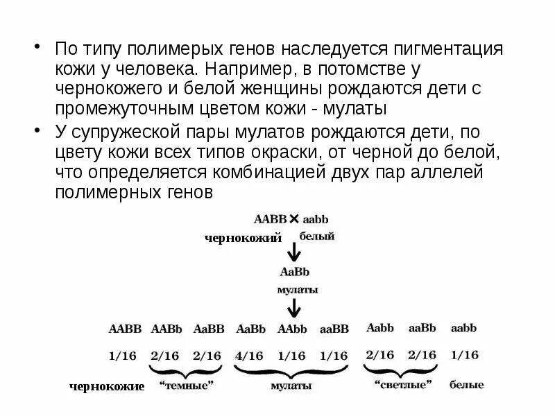 Наследование, сцепленное с полом. Наследование цвета кожи. Сколько генами определяется цвет кожи человека. Синдром марфана известные люди. Цвет кожи человека.