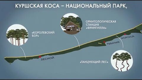 Экскурсия на курскую косу