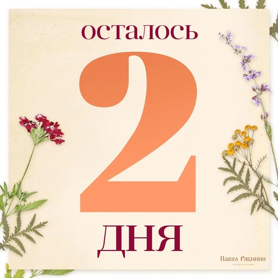 Осталось 2 дня до. Осталосб 2 дея. Осталось два дня. Осталось 2 дня до дня рождения. Сколько дней осталось до мая 2024г