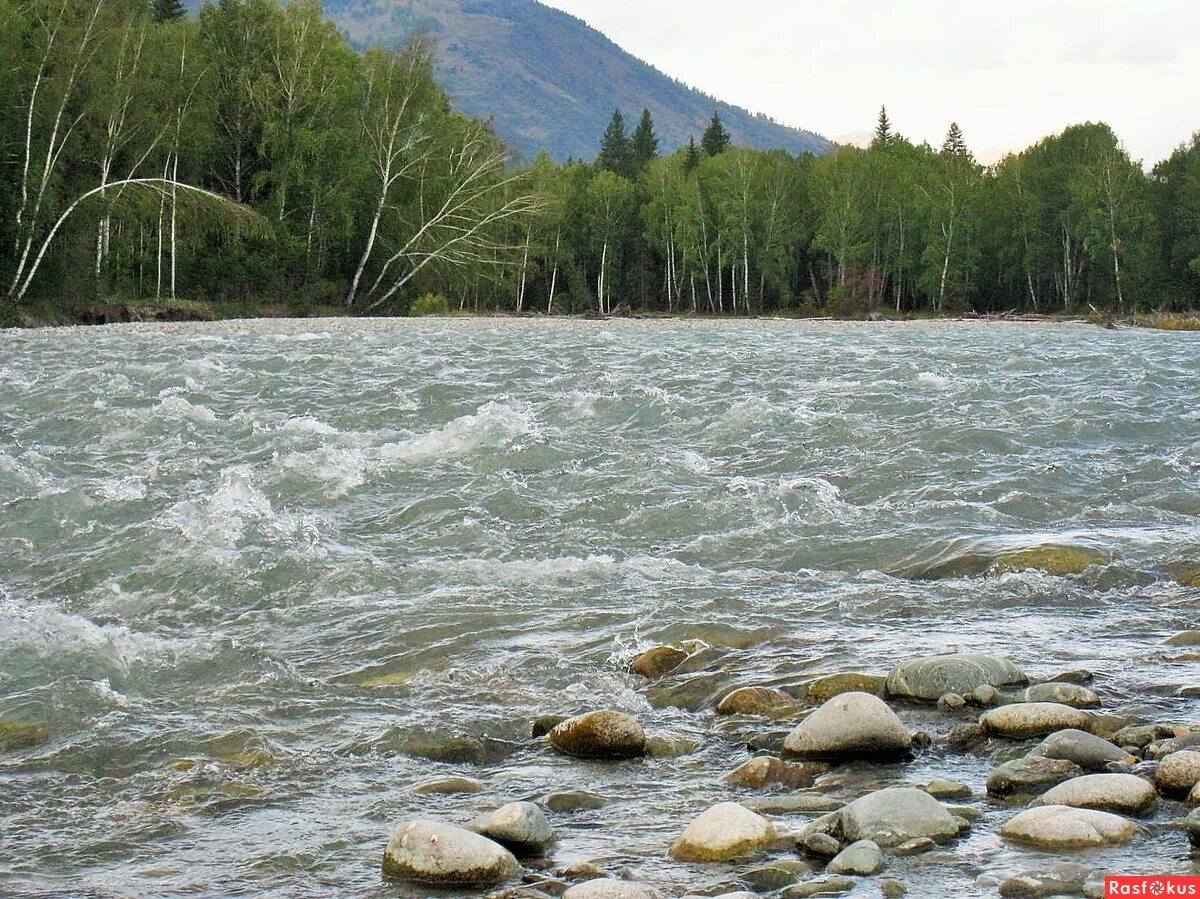 Гудит реки. Шумная река. Вода река шумная. Картинки шумная река. Рычал река.